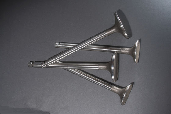 1425ccm a balayé des valves de moteur diesel d'échappement de volume pour Yanmar 3T84 3TNA84 4TNC88